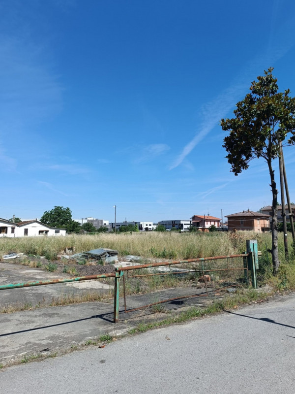 immagine annuncio 3 di 4