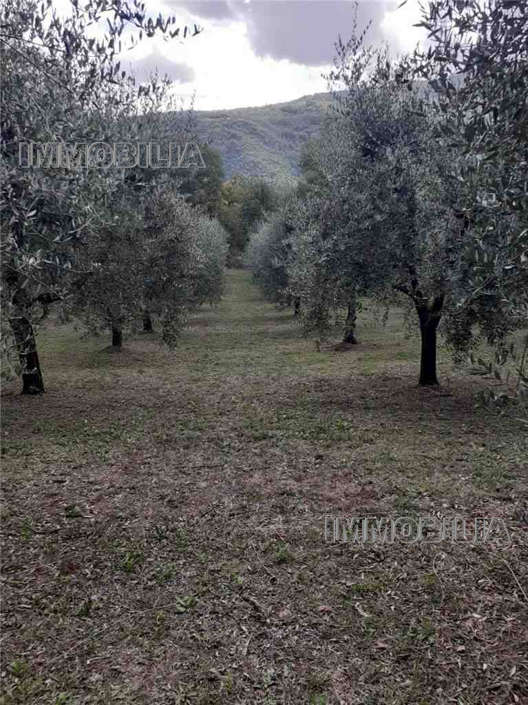 immagine annuncio 1 di 6