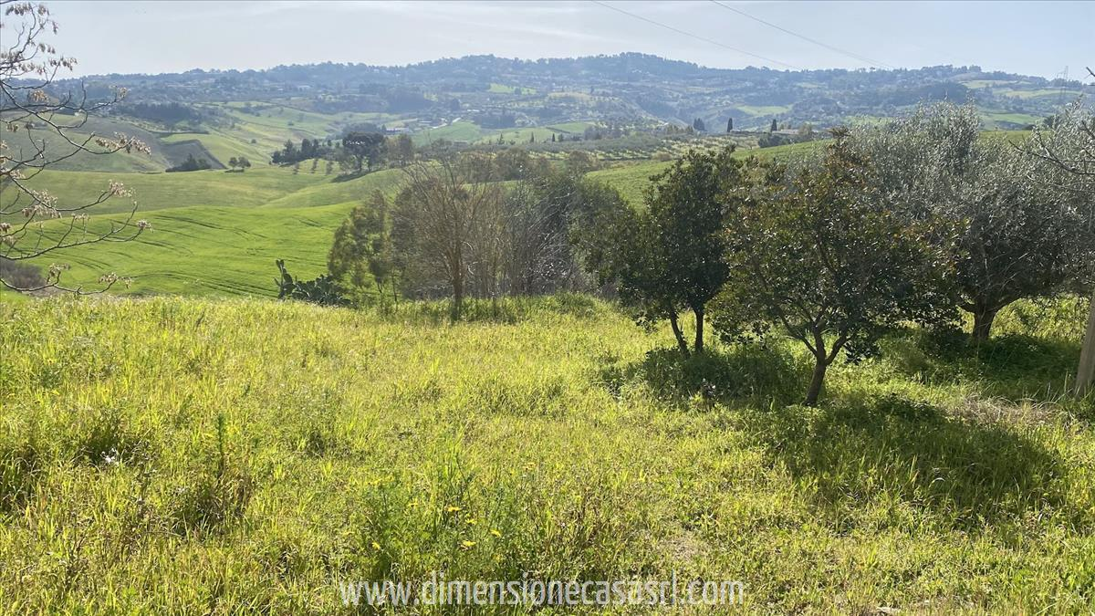 immagine annuncio 4 di 6