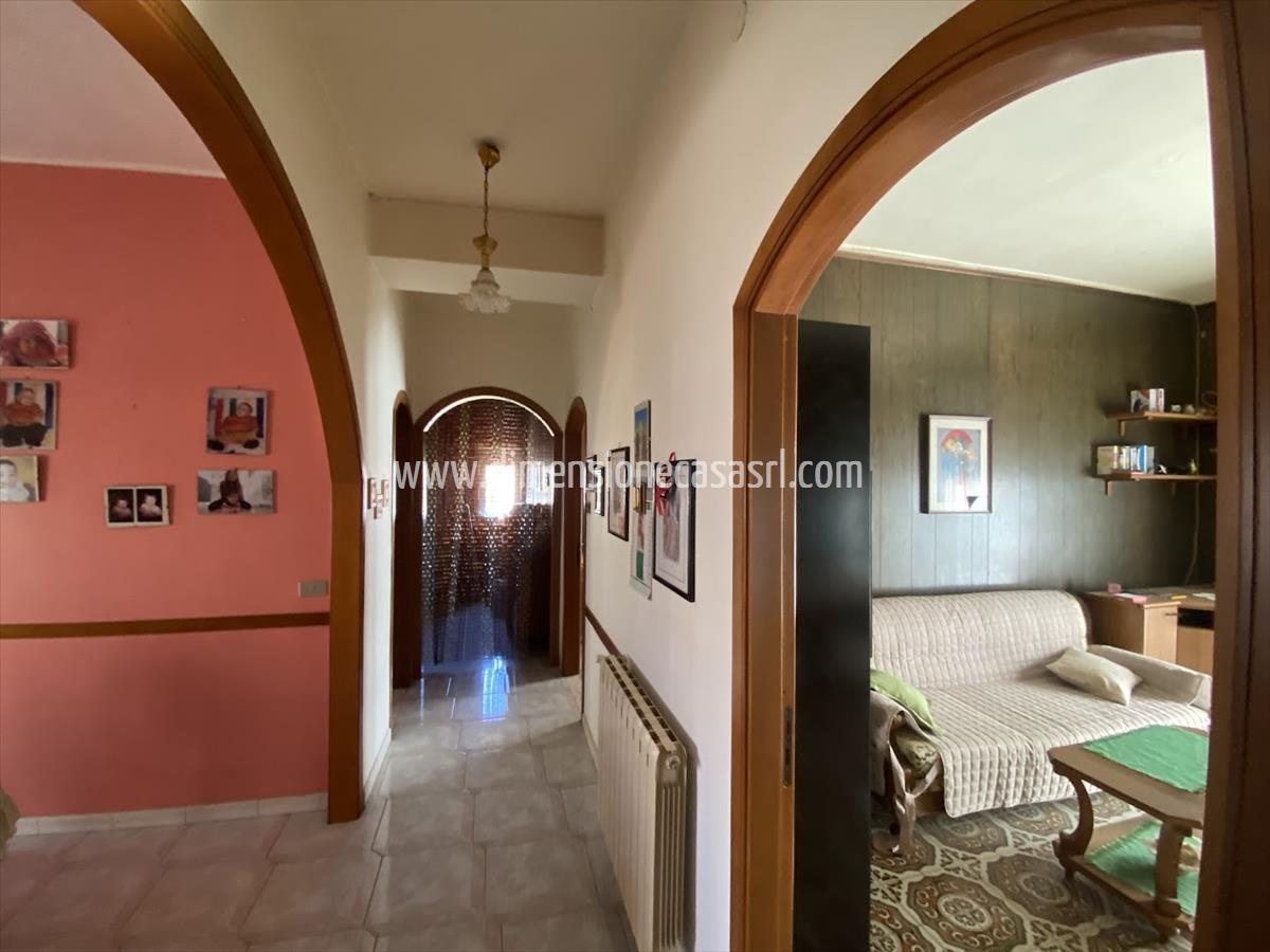 immagine annuncio 3 di 9