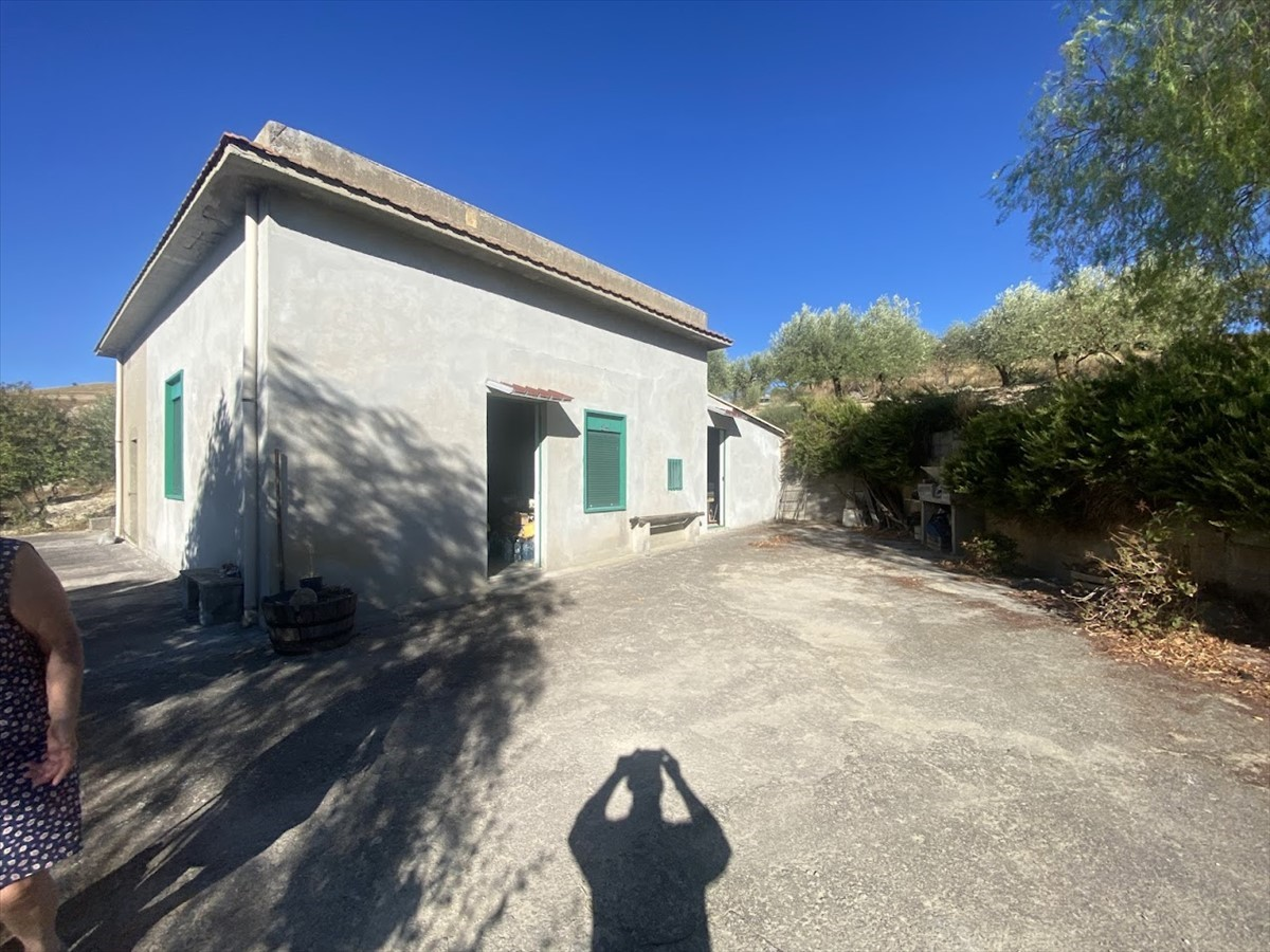 immagine annuncio 7 di 9