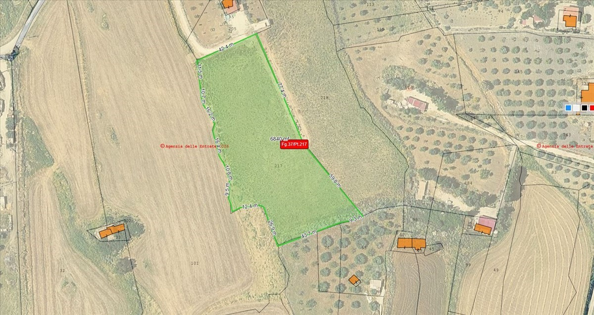 immagine annuncio 2 di 4