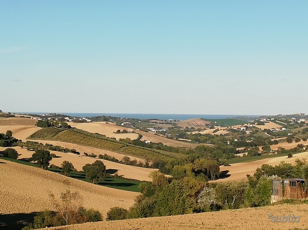 immagine annuncio 9 di 10