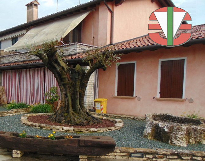 immagine annuncio 2 di 10