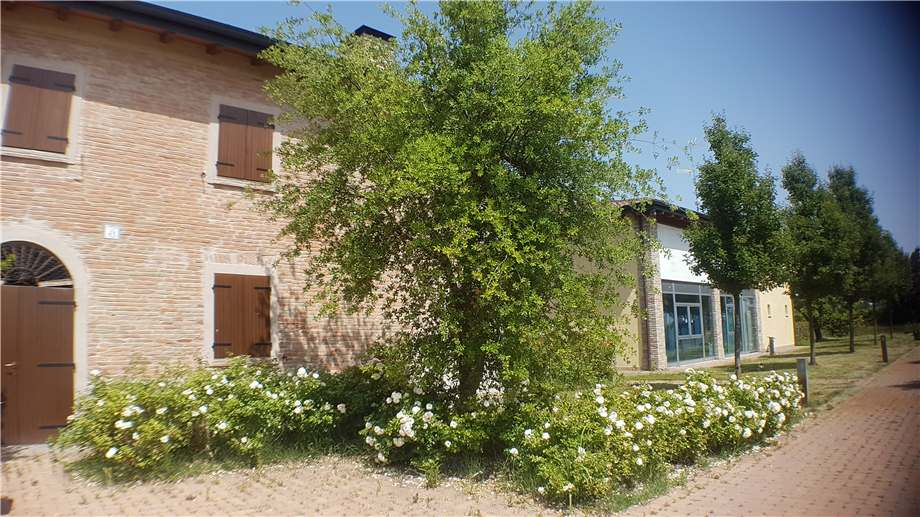 immagine annuncio 2 di 4