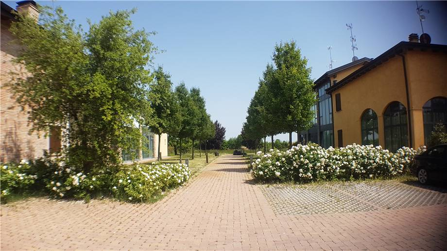 immagine annuncio 1 di 4