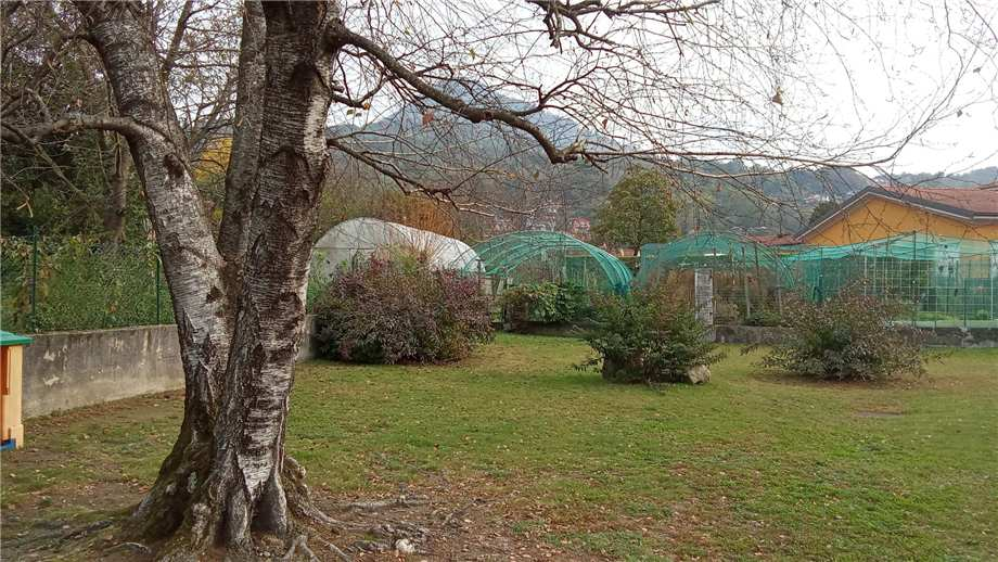 immagine annuncio 8 di 10