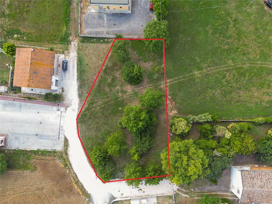 immagine annuncio 1 di 6