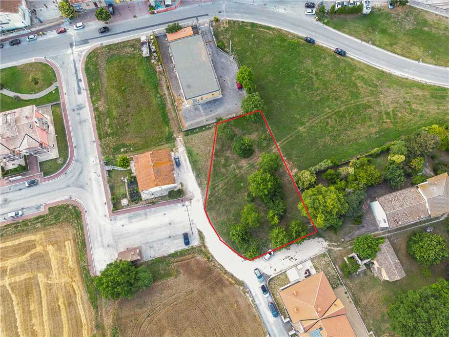 immagine annuncio 3 di 6