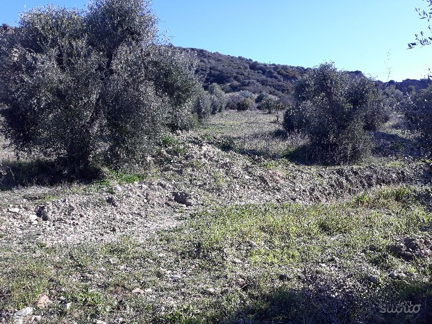 immagine annuncio 2 di 6