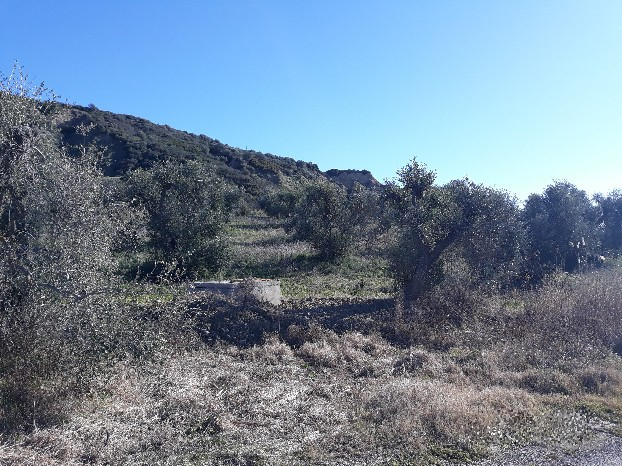immagine annuncio 5 di 6