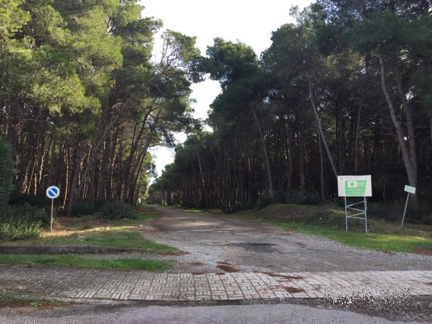immagine annuncio 4 di 6