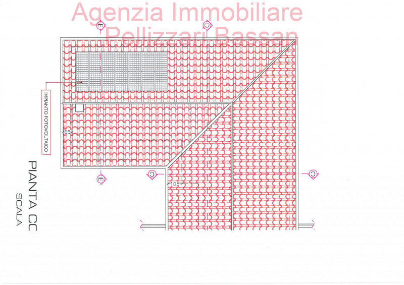 immagine annuncio 3 di 6