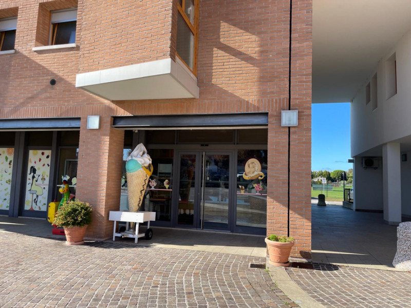 immagine annuncio 1 di 6