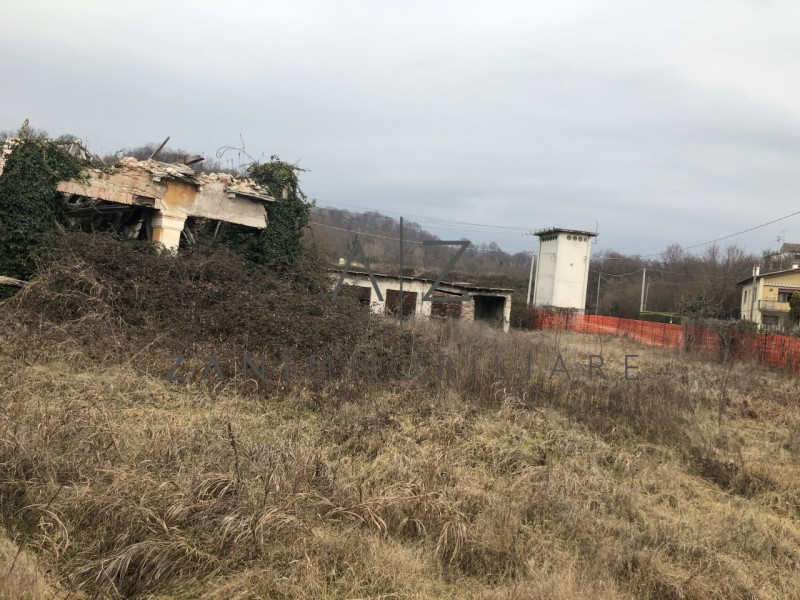 immagine annuncio 5 di 6