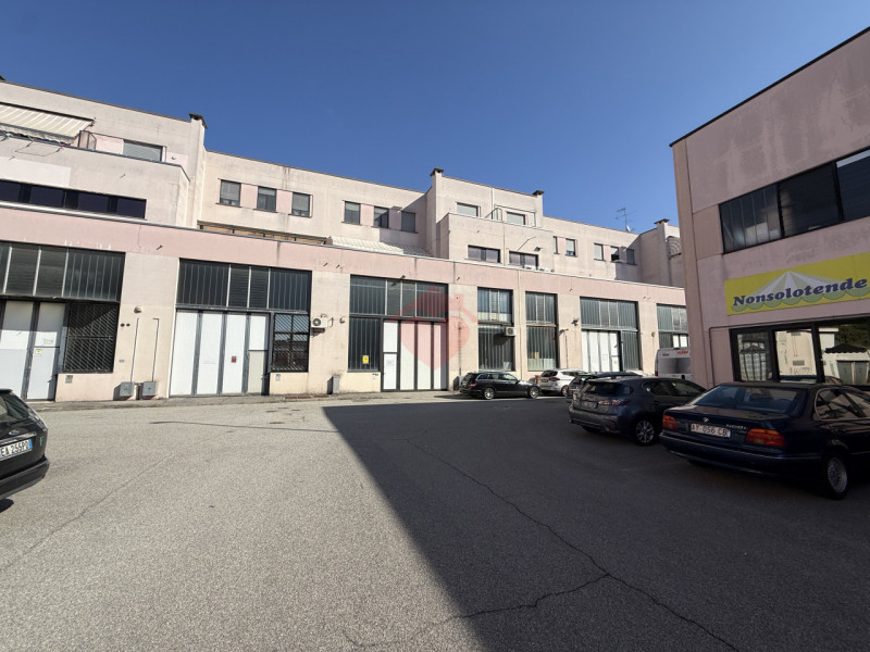 immagine annuncio 1 di 10