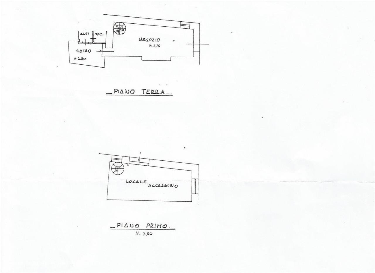immagine annuncio 3 di 6
