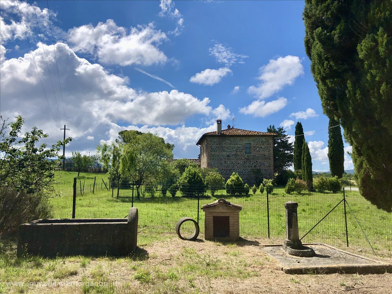 immagine annuncio 4 di 9
