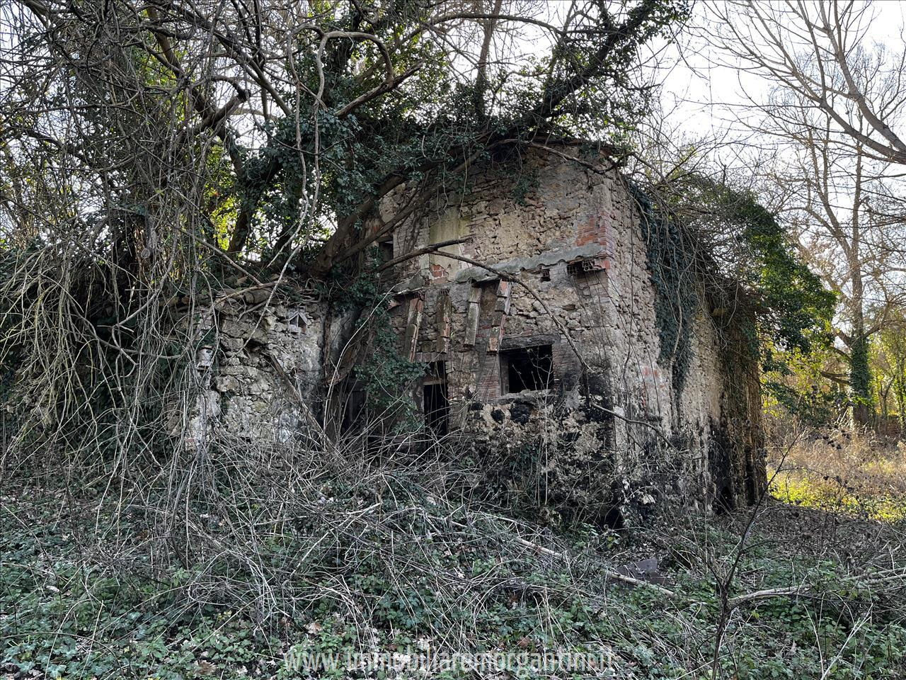 immagine annuncio 6 di 9