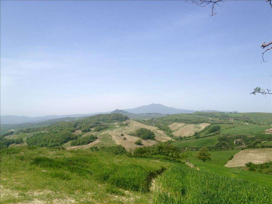 immagine annuncio 2 di 8