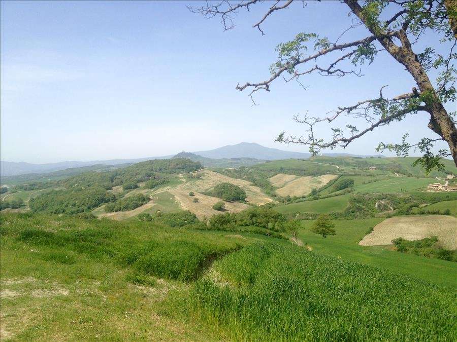 immagine annuncio 4 di 8