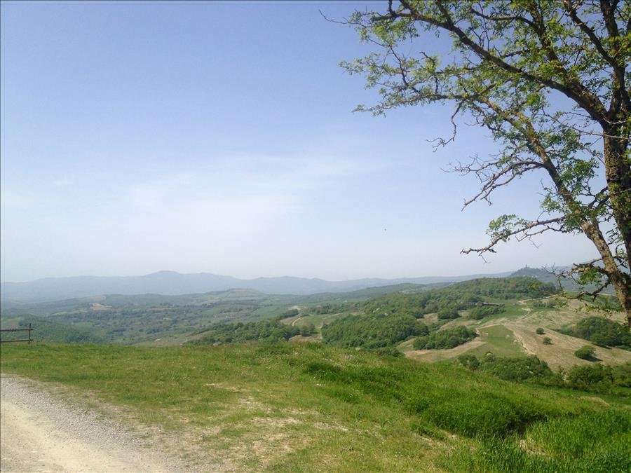 immagine annuncio 5 di 8