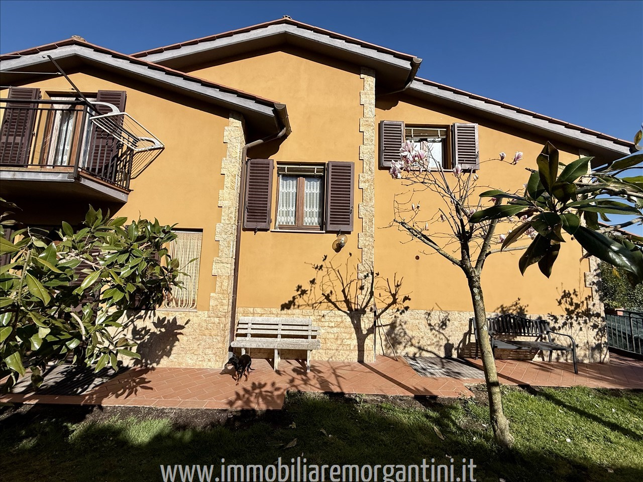 immagine annuncio 5 di 9
