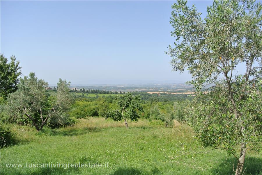 immagine annuncio 3 di 9