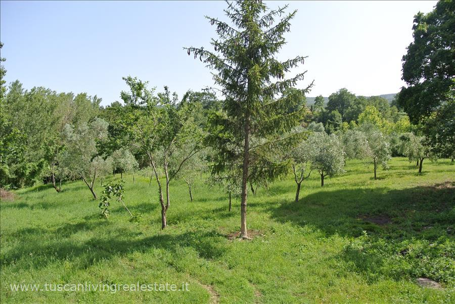 immagine annuncio 6 di 9