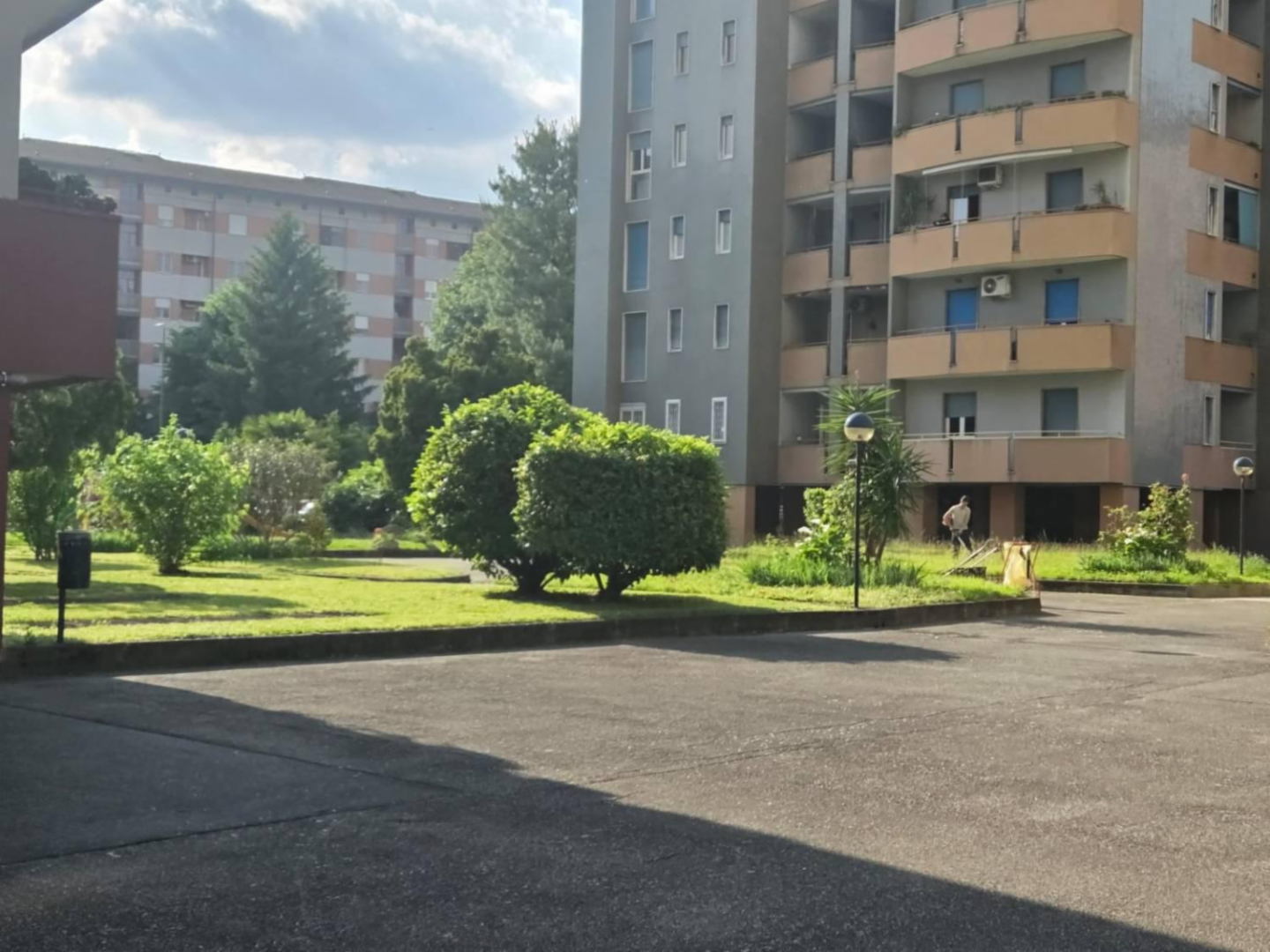 immagine annuncio 1 di 10