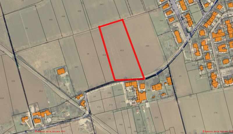 immagine annuncio 9 di 10