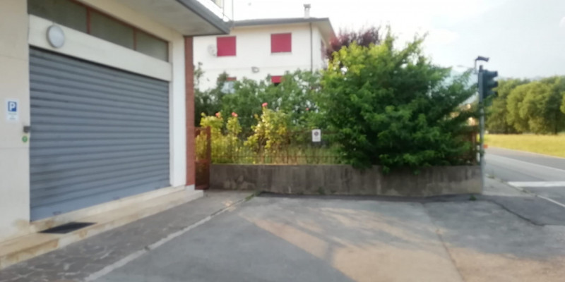 immagine annuncio 2 di 6