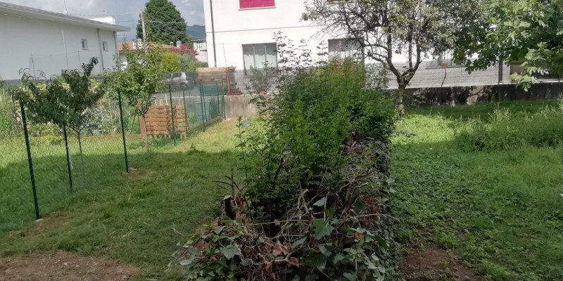 immagine annuncio 1 di 6