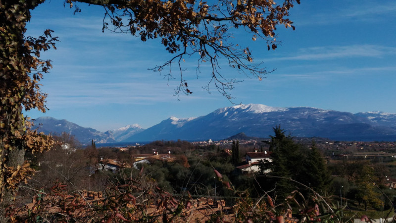 immagine annuncio 8 di 10