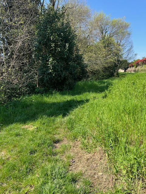 immagine annuncio 1 di 9