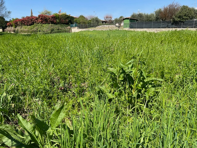 immagine annuncio 8 di 9