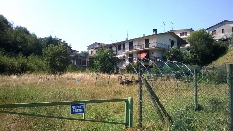 immagine annuncio 2 di 6