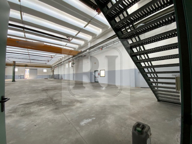 immagine annuncio 3 di 10