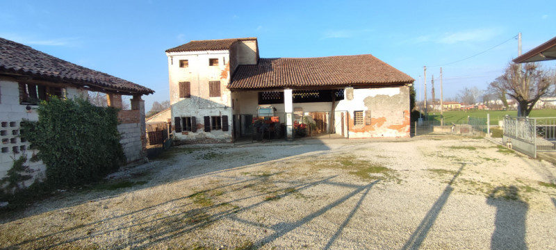 immagine annuncio 1 di 6