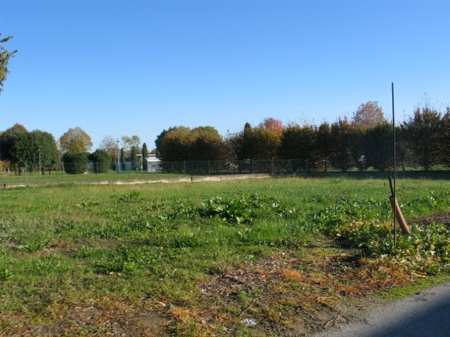 immagine annuncio 2 di 3