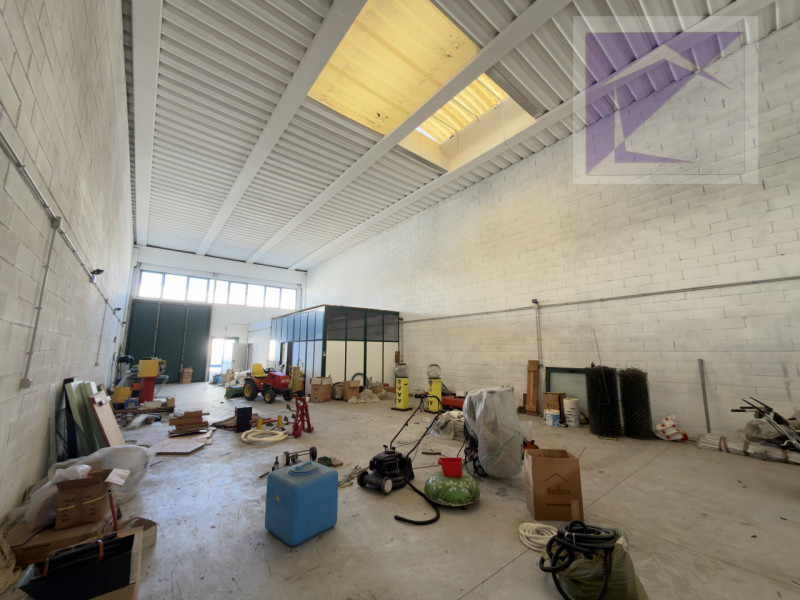 immagine annuncio 1 di 6