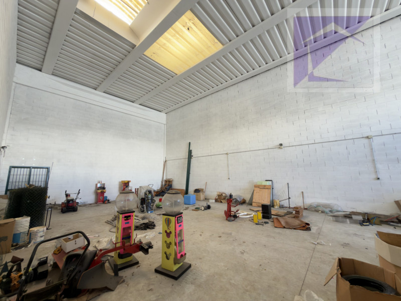 immagine annuncio 4 di 6