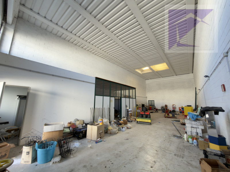 immagine annuncio 2 di 6