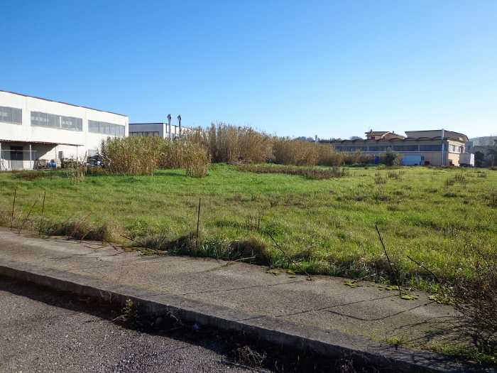 immagine annuncio 1 di 3