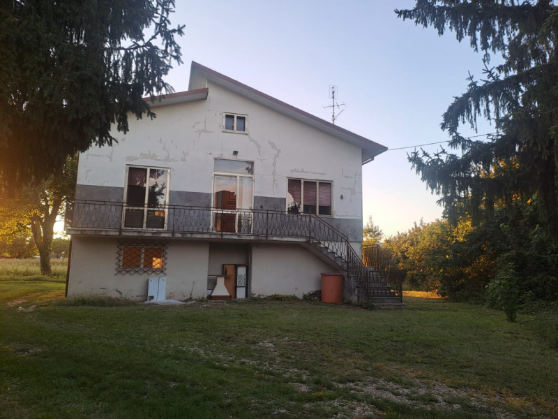 immagine annuncio 1 di 6