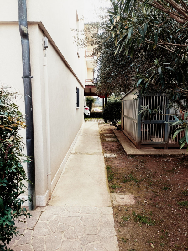 immagine annuncio 4 di 6