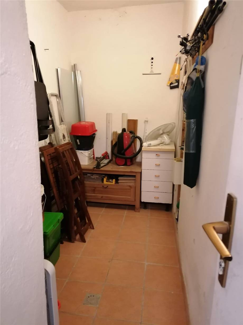 immagine annuncio 6 di 8