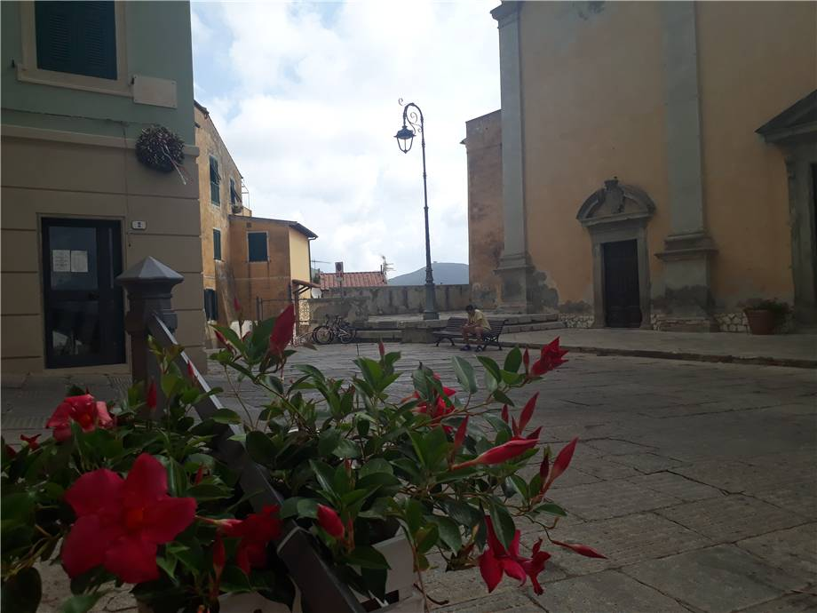 immagine annuncio 5 di 9