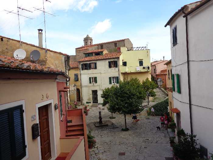 immagine annuncio 6 di 9