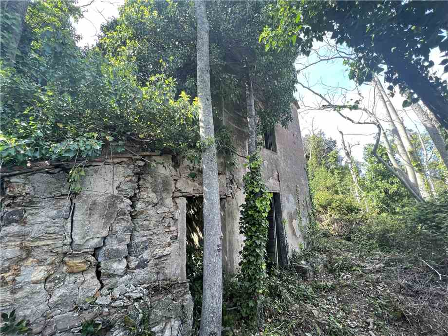 immagine annuncio 2 di 9